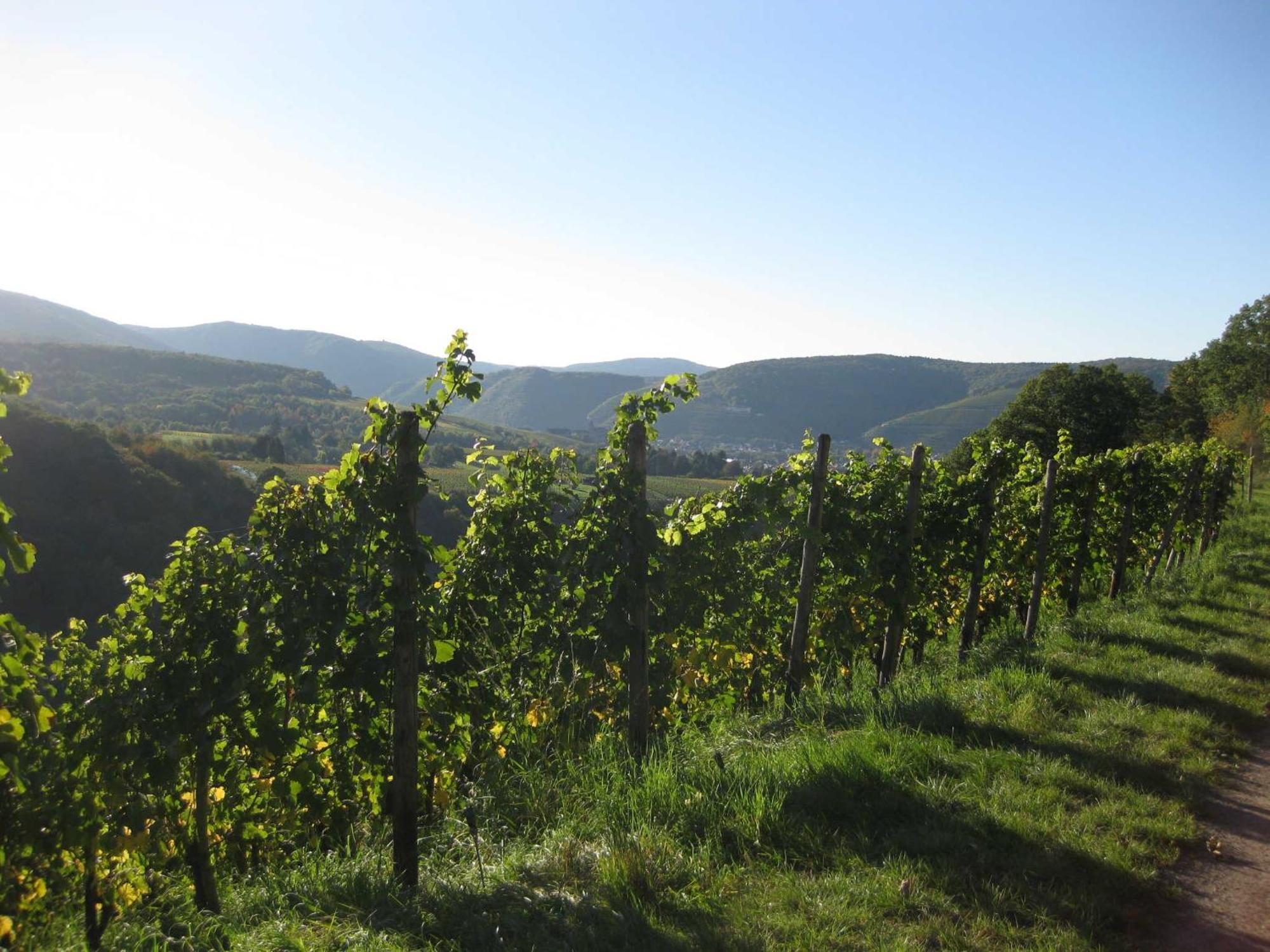 Bachem Bad Neuenahr-Ahrweiler